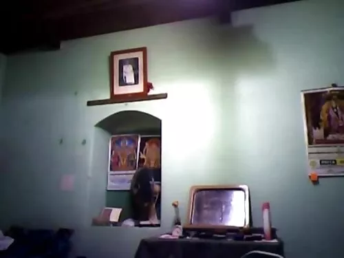 फिशनेट मोजाहरूमा बस  ...